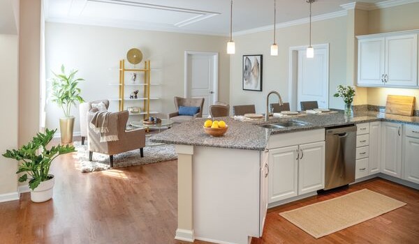 Modern, light-filled and inviting apartment kitchen: